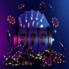 321 bet